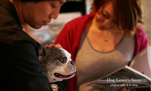 Dog Lover’s Story ドッグラバーズストーリー ドッグラファー